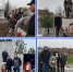 В Константиновском районе стартовала Вахта памяти, посвященная 83 годовщине освобождения хуторов и станиц от немецко-фашистских захватчиков - Газета Донские огни
